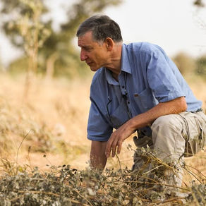Tony Rinaudo in the field