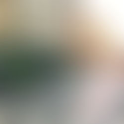 Luxembourg raises the free PT stakes