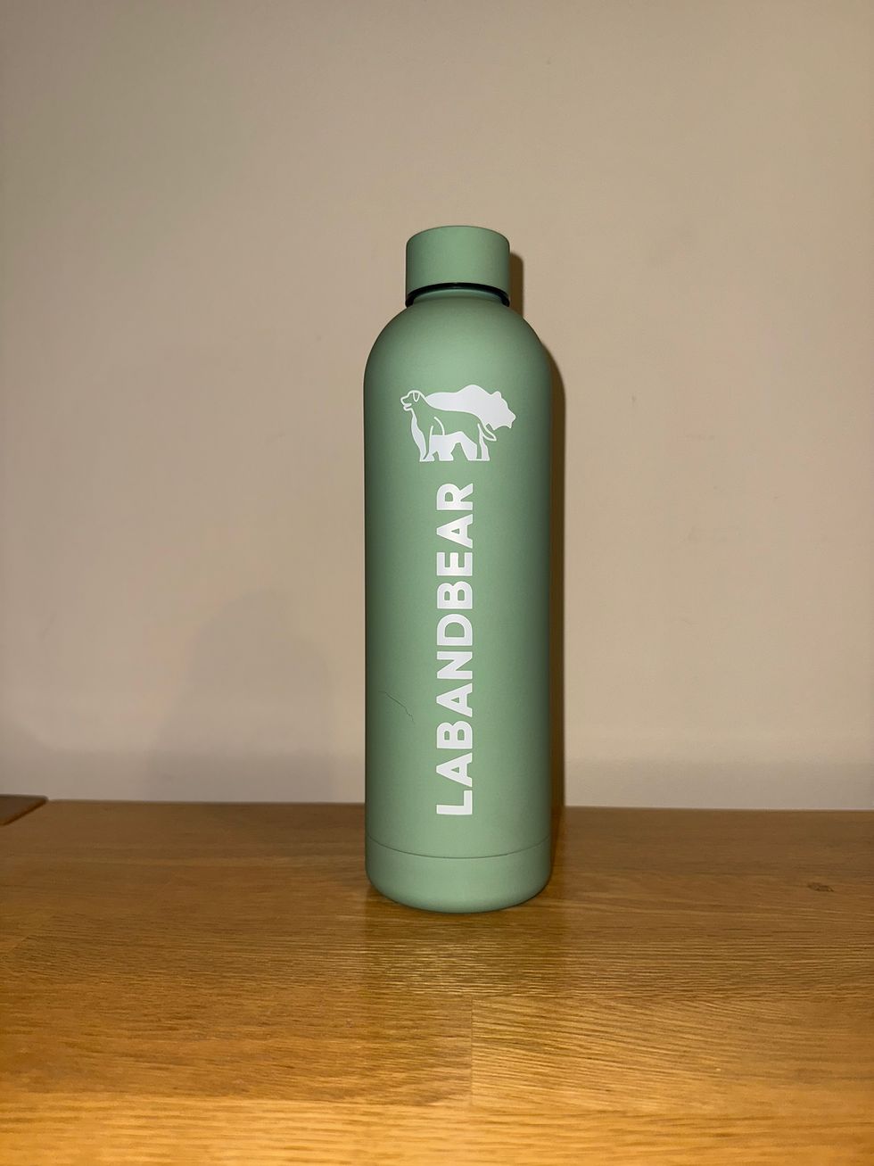 Thumbnail: Stainless Steel Bottle 