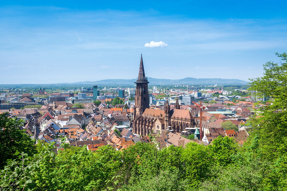 Freiburg Germany Hilltop View