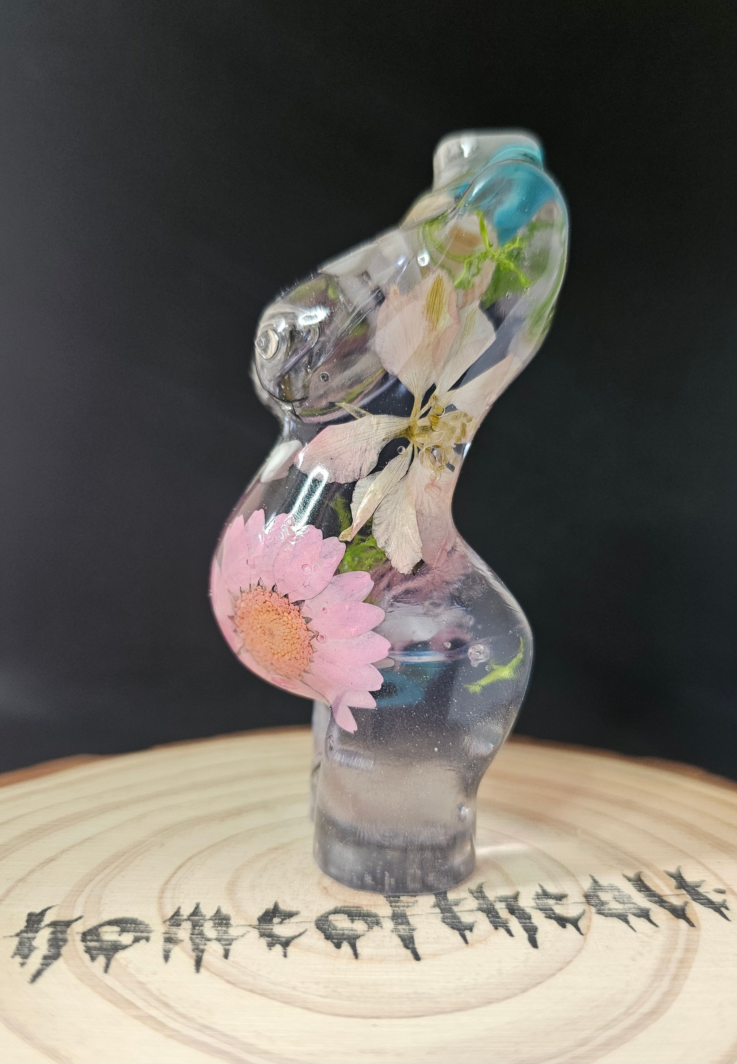Creation of life 