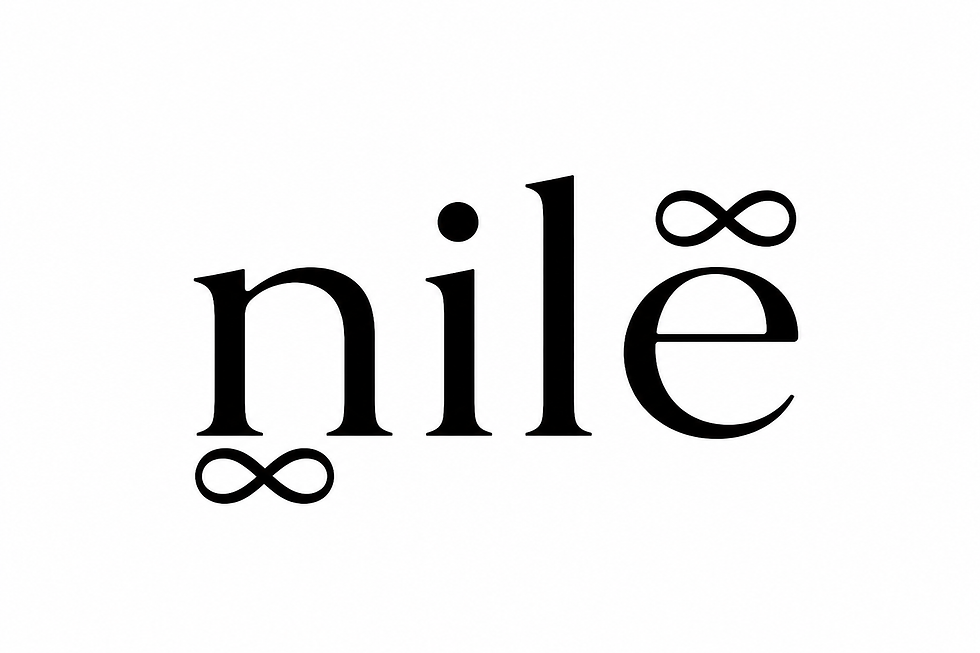 Nile sports logo with infinity symbols