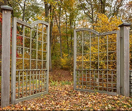 This 6 acre property was purchased by the current owners in the late 1970s, and in 1979, a plot plan was created by local landscape designer, Judy Nickerson. The gardens are located on a tidal cove that empties into the Long Island Sound, surrounded by marshland. The current owner's trip to Japan with the Japanese Garden Society had a profound impact on the property's landscaping that reflects hints of Japanese minimalism. The owners intended to create gardens that did not overshadow the view of the cove, but frame and highlight this element. The property features collections of vegetable, pollinator woodland and conifer plants. The owners deliberately fill any unplanted spaces with a variety of ground covers such as gravel stone, triple chopped leaves from the property, and organic mulch made from the property's many oak trees.
While 1 ½ acres are under cultivation and management, the rest of the property runs freely along the cove. The owners purchased the adjoining lot of approximately .5 acres in 2010 and it is now used to manage and cultivate unhealthy trees and eradicate invasive species. The owners used soft curving lines throughout the landscape of the property to visually soften the straight driveway entry. The driveway ends in a courtyard created by two buildings with a circular cobblestone-edged space that surrounds an immense red oak tree. A curved stone wall lines the east side of the cul-de-sac with a large gate in the center. The west side of the house features a large Japanese maple, gravel stone, and a collection of conifers. On the south side of the house, the owner's interpretation of a dry Japanese garden is constructed of gravel stone and a Japanese lantern peeking through miscanthus grass. The south side of the lawn along the cove features a drift of Pfitzer Juniper amongst high blueberry bushes that have performed for over 40 years. A curved granite wall runs north and south around one corner of the house until it meets the composting area that also contains raised beds, flower and herb gardens. Major hardscape features include a granite patio, swimming pool capped in granite, a pergola overlooking the cove, and many functional bird houses. A prominent decorative element on the property is an armillary approximately 10x10 ft. made of Cor-Ten steel. This piece was commissioned from a math professor at a small agricultural college in Vermont.