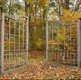 This 6 acre property was purchased by the current owners in the late 1970s, and in 1979, a plot plan was created by local landscape designer, Judy Nickerson. The gardens are located on a tidal cove that empties into the Long Island Sound, surrounded by marshland. The current owner's trip to Japan with the Japanese Garden Society had a profound impact on the property's landscaping that reflects hints of Japanese minimalism. The owners intended to create gardens that did not overshadow the view of the cove, but frame and highlight this element. The property features collections of vegetable, pollinator woodland and conifer plants. The owners deliberately fill any unplanted spaces with a variety of ground covers such as gravel stone, triple chopped leaves from the property, and organic mulch made from the property's many oak trees.
While 1 ½ acres are under cultivation and management, the rest of the property runs freely along the cove. The owners purchased the adjoining lot of approximately .5 acres in 2010 and it is now used to manage and cultivate unhealthy trees and eradicate invasive species. The owners used soft curving lines throughout the landscape of the property to visually soften the straight driveway entry. The driveway ends in a courtyard created by two buildings with a circular cobblestone-edged space that surrounds an immense red oak tree. A curved stone wall lines the east side of the cul-de-sac with a large gate in the center. The west side of the house features a large Japanese maple, gravel stone, and a collection of conifers. On the south side of the house, the owner's interpretation of a dry Japanese garden is constructed of gravel stone and a Japanese lantern peeking through miscanthus grass. The south side of the lawn along the cove features a drift of Pfitzer Juniper amongst high blueberry bushes that have performed for over 40 years. A curved granite wall runs north and south around one corner of the house until it meets the composting area that also contains raised beds, flower and herb gardens. Major hardscape features include a granite patio, swimming pool capped in granite, a pergola overlooking the cove, and many functional bird houses. A prominent decorative element on the property is an armillary approximately 10x10 ft. made of Cor-Ten steel. This piece was commissioned from a math professor at a small agricultural college in Vermont.