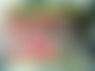 Sunday 28th December at 10.45am - our Speaker will be Rev John McLaren - Please join us for our last Service of 2025. Everyone welcome 🥰