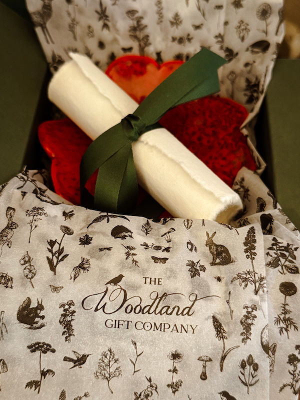 The Poppy for Loss/Remembrance