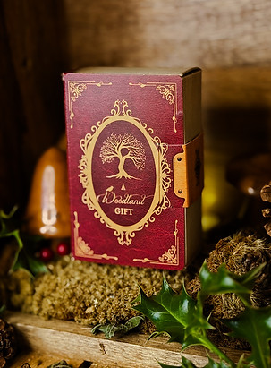 Copy of IMG_6170_jpg.JPG