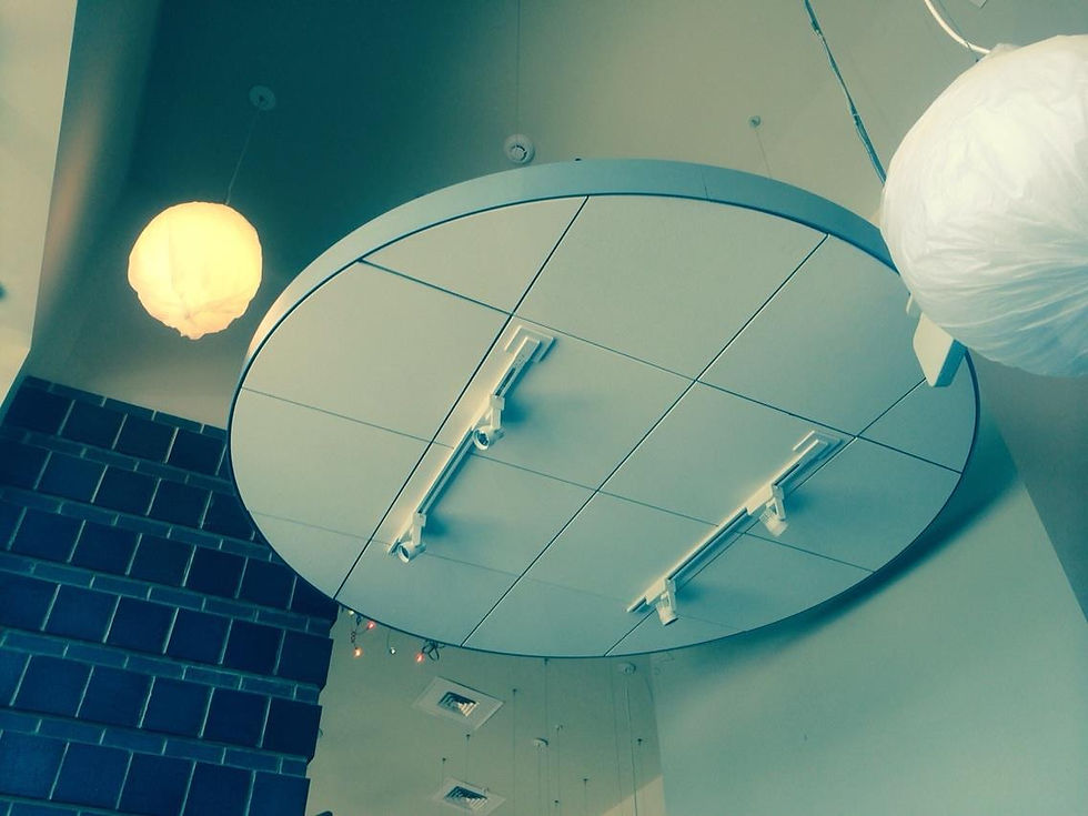Custom Ceilings
