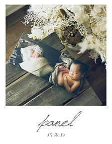 パネル.jpg