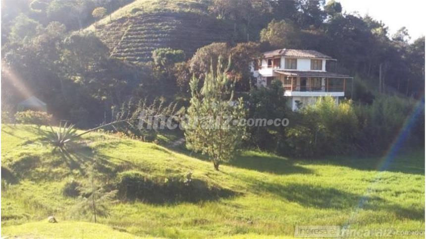 Finca en santuario $ 270.000.000