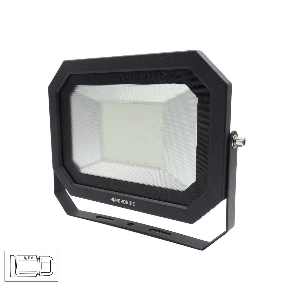 4311-100 FLAT 100W Floodlight
