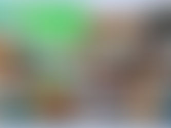 Әліппеден білім әлеміне. Из Букварии в Читалию