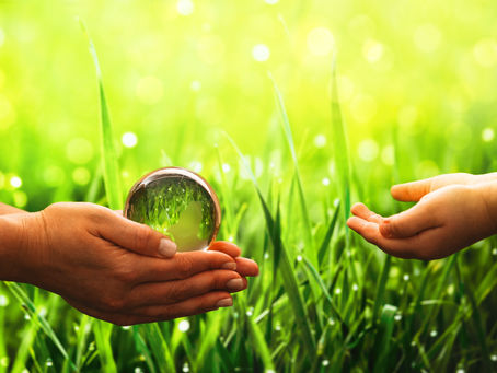 A green revolution – discover the companies pioneering sustainability in marketing
