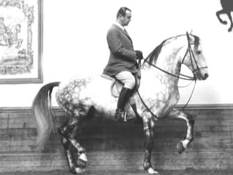 Vous qui avez verrouillé la bouche de vos chevaux : une réflexion sur l’équilibre entre tradition et modernité en équitation