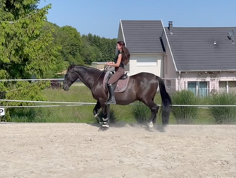 L'ÉQUITATION RÉINVENTÉE
