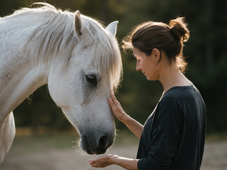 Et si le véritable problème n’était pas le cheval… mais notre manière de penser la relation ?