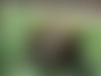 Un chemin pédagogique