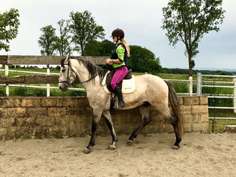 L'équitation : l'apprentissage d'un langage ...