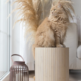 Hocker1.jpg