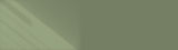 green banner_1.jpg