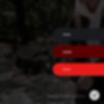 Villatrius Logo Design