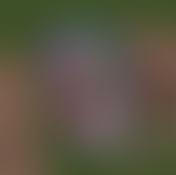 Flip 기능으로 좌우반전 쉽게 하기