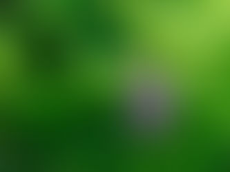 A MÃE FORTE, A PROLE FORTE