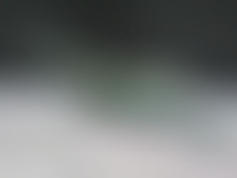 Polêmica: Por que existe tanta pobreza e fome no mundo?