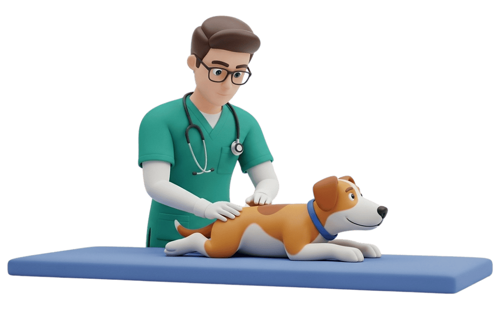 Diseño sin nombre (23).png