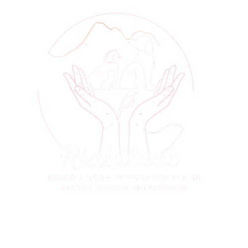 logo_gransasso-removebg-preview - Miriam Caramico.png