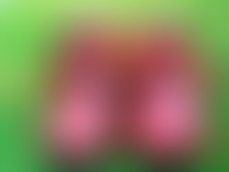 Os sapatinhos vermelhos