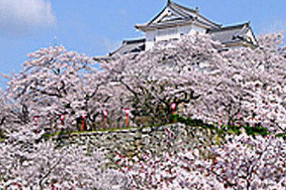 有限会社鶴山衛生センター