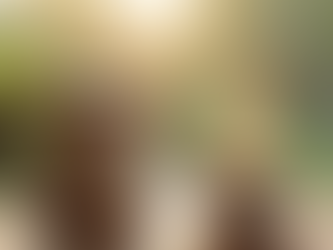 Finding Your Rhythm: How to Make Habits Feel Effortless and Automatic