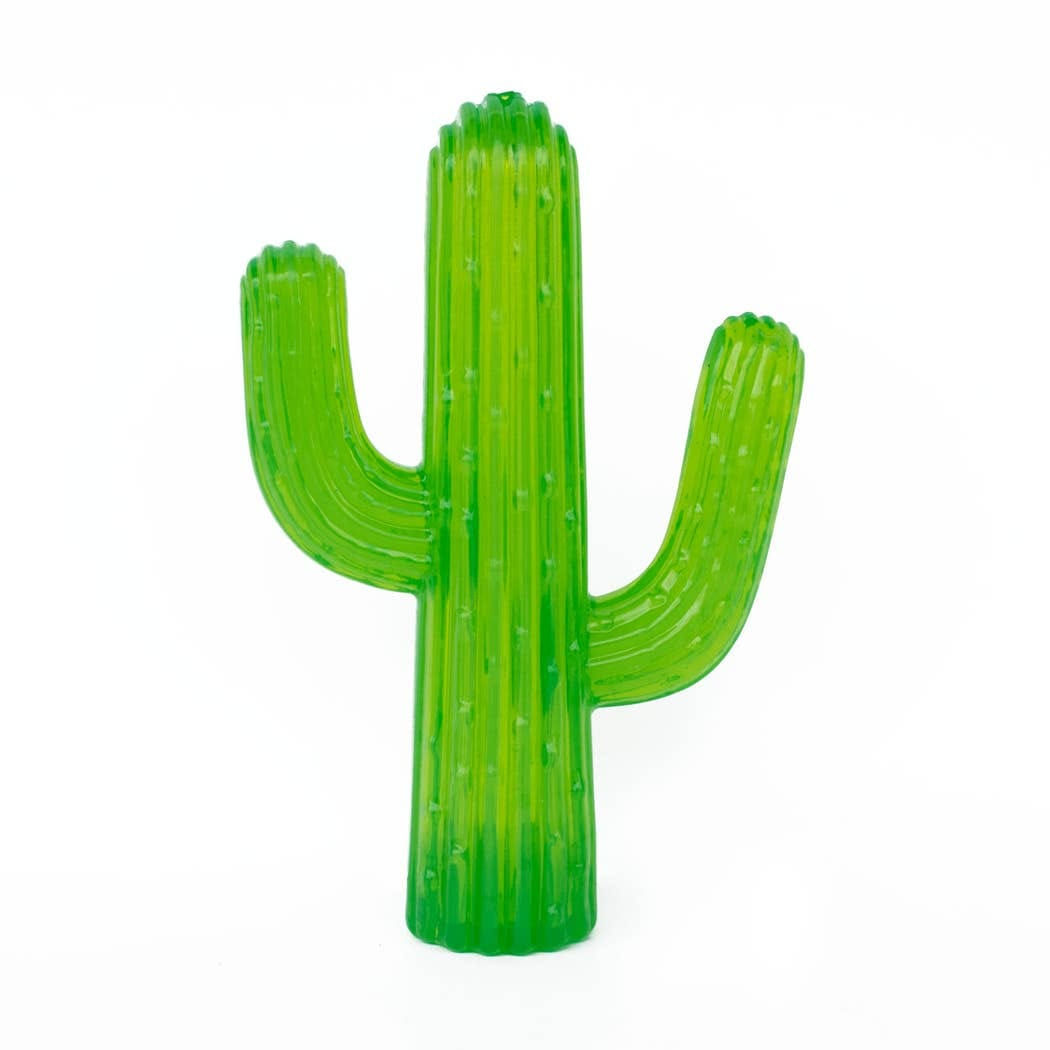 Jouet - Cactus