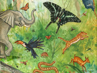 Issue #56 Animal Rights, Planet Wrongs