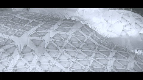 李金颖4.gif
