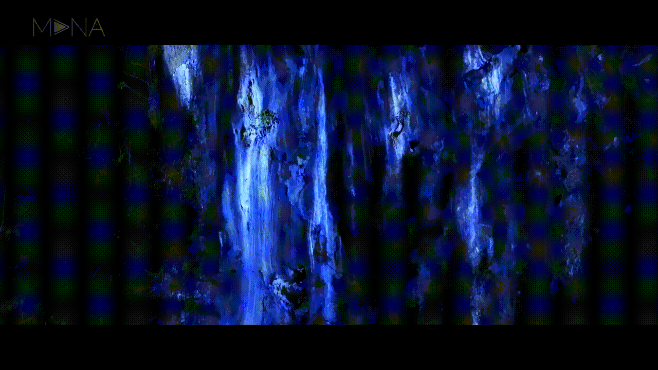 202203241437(5).gif
