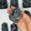 サムネイル： Labradorite Ganesha