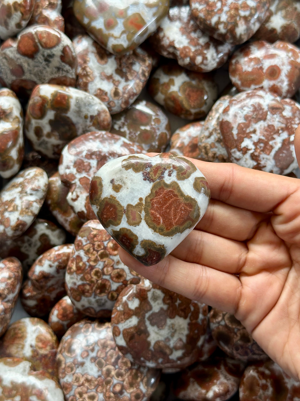 サムネイル： Leopard Skin Jasper