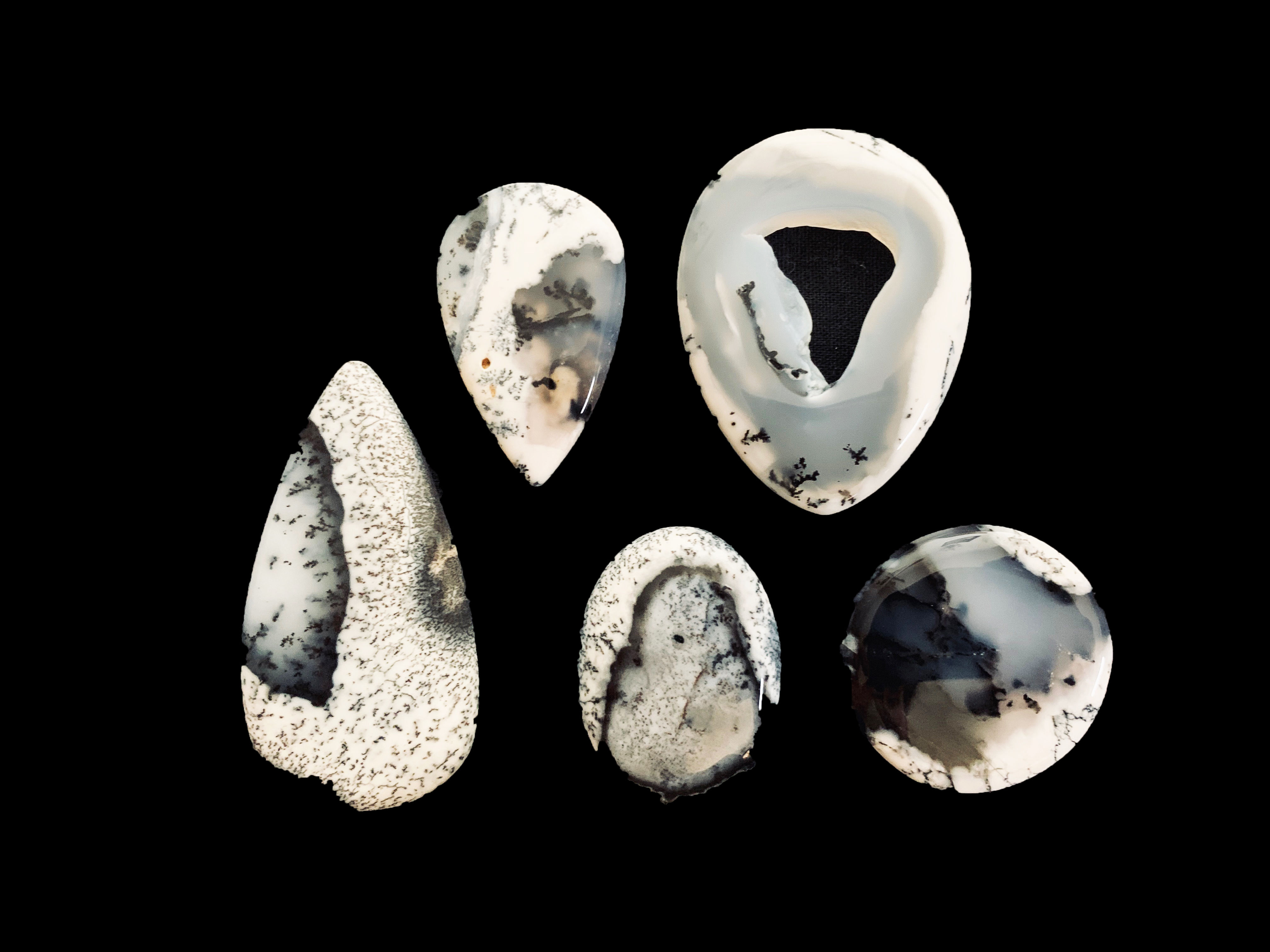 Dendritic Agate Palm Stones