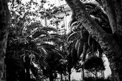 Fuente de los Deseos