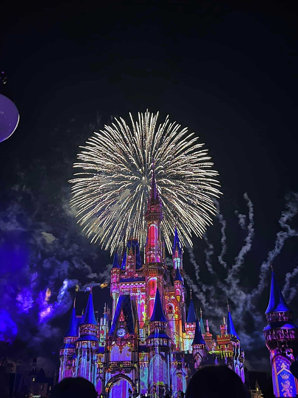 Happily Ever After Fireworks in the Magic Kingdom