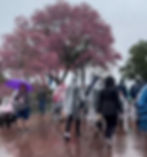 Guests Enjoying a park day in the rain at EPCOT