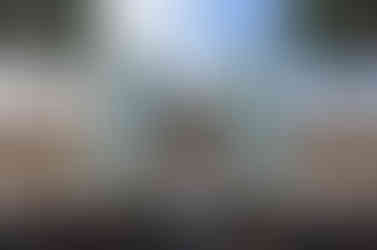 Disney Animations sign at Disney Hollywood Studios