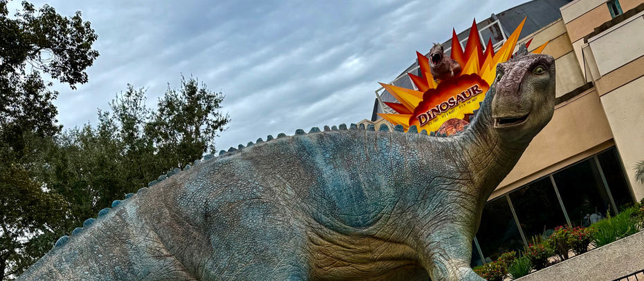 DINOSAUR Marque in Animal Kingdom