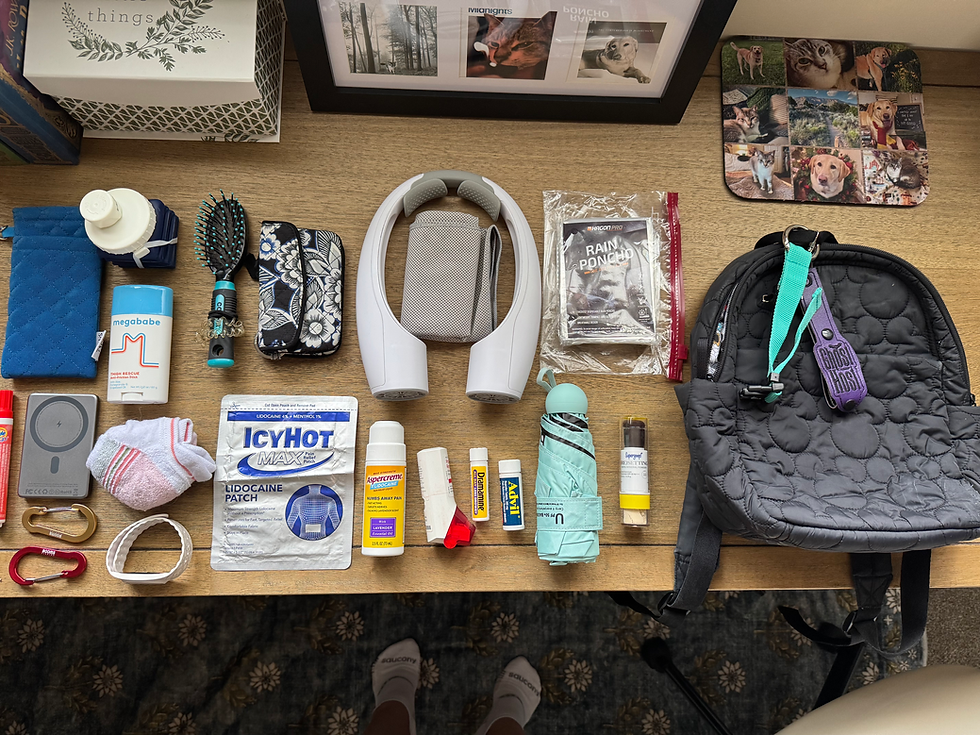Park Back items for Walt Disney World