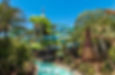 Volcano Bay slides and lazy river