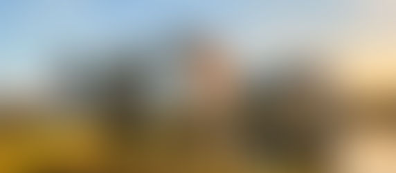 Walt Disney World Resort Vacation Packages for 2025 FAQ