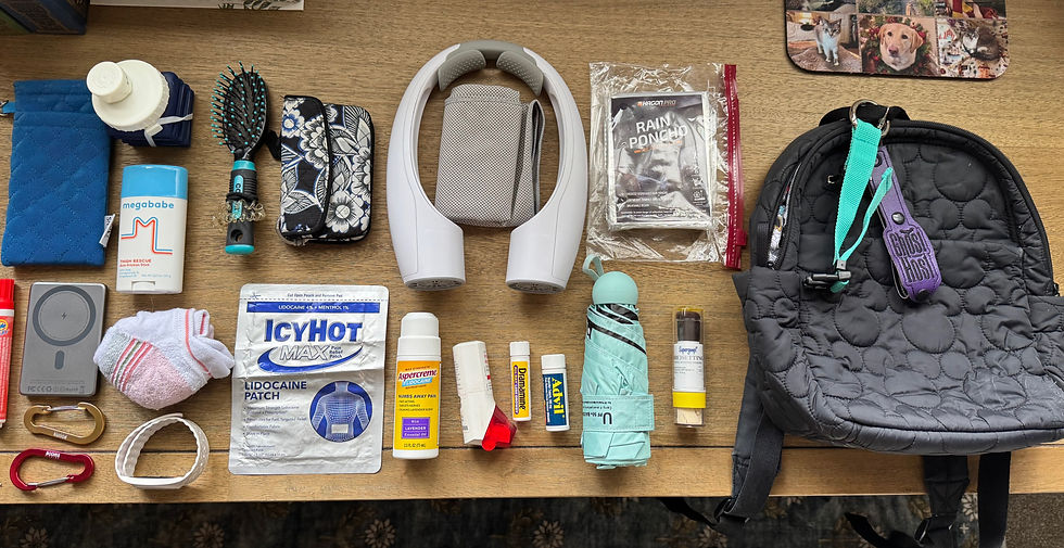 Items for a carry on bag - RCL and DCL