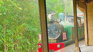Wildlife Express Train travels to Bluey's Wild World in Disney Animal Kingdom